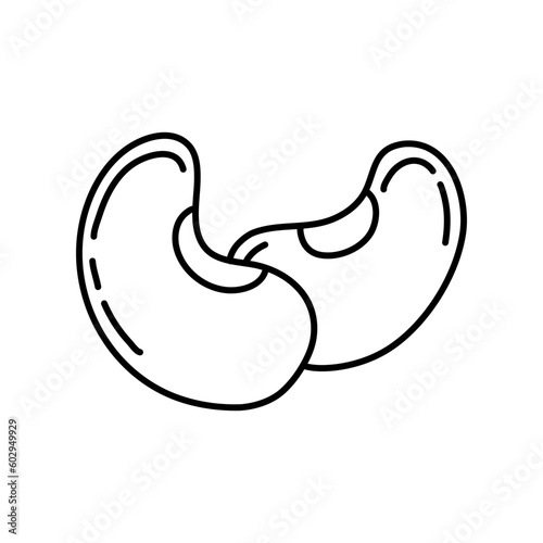Mung Bean line doodle vector. Mung Bean on white background. photo
