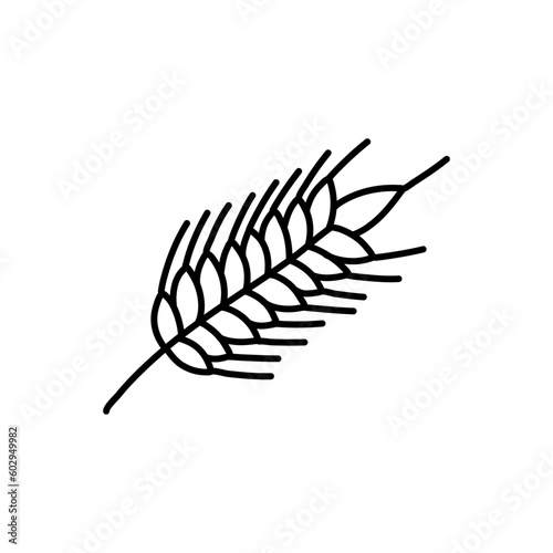Wheat Ear Handmade vector illustration, sketch. wheat vector sketch illustration