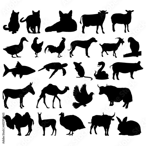 Set Of Domestic Animal Silhouettes