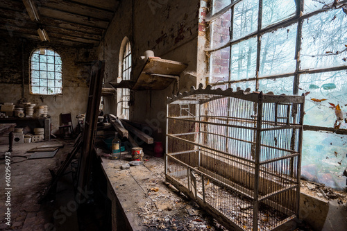 Urbex, old abandoned Mansion somewhere in Belgium.