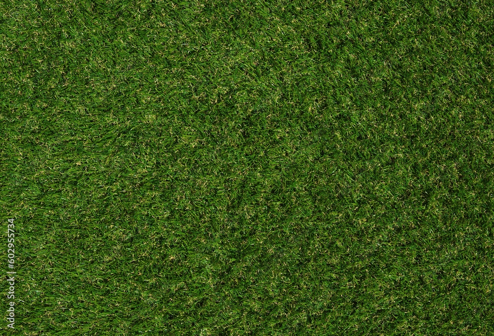Fototapeta premium Green grass background