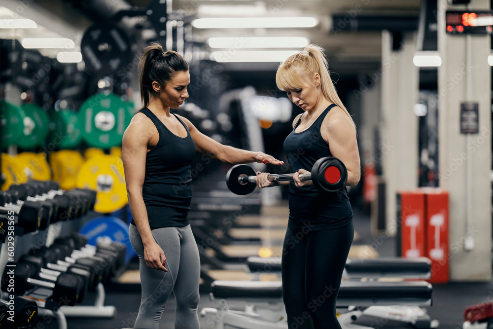 A female personal trainer is helping a female bodybuilder with exercises with barbell in a gym.