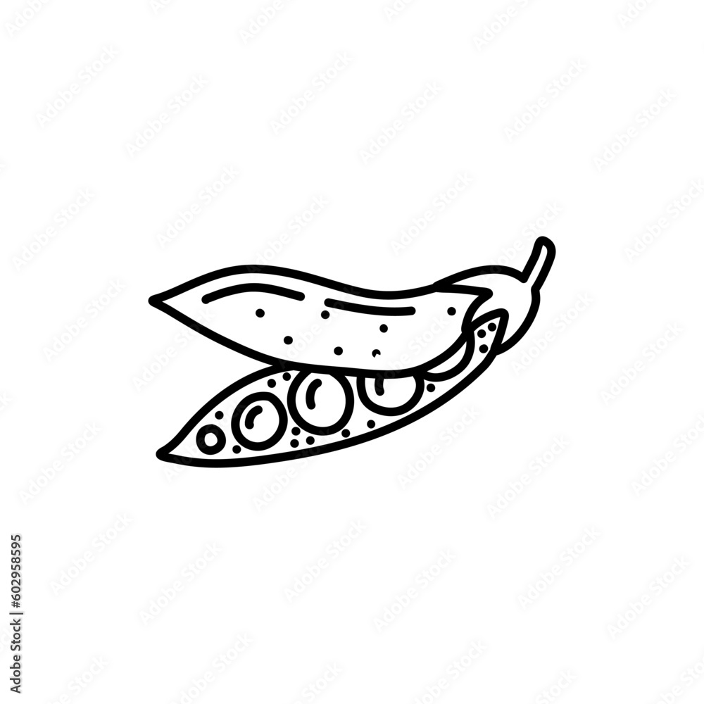 green pea linear vector hand drawing illustration, pea, bob, bean vector colour doodle sketch green pea linear vector hand drawing illustration, pea, bob, bean vector colour doodle sketch