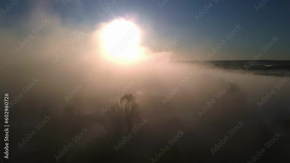 fog at dawn, fog over the river, fog over the forest, nature in fog, clouds low above the ground, drone shooting fog at dawn, fog over the river, fog over the forest, nature in fog, clouds low above the ground, drone shooting