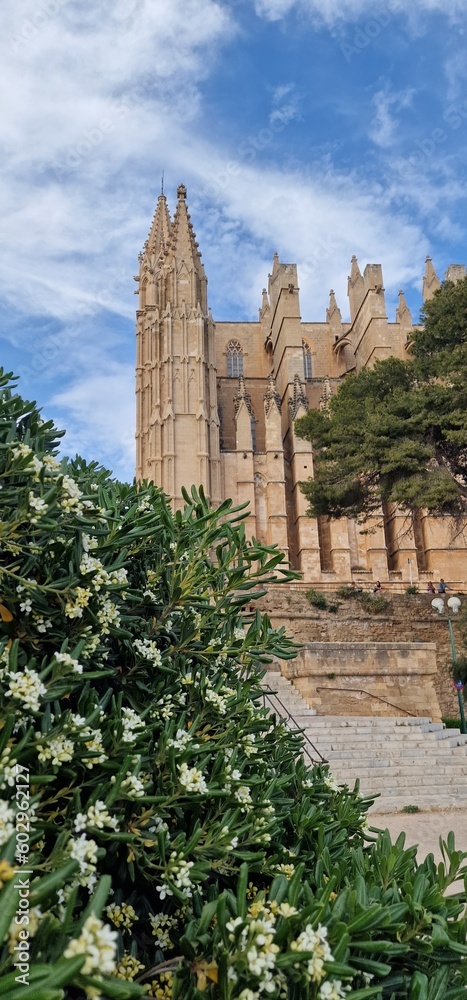 The Cathedral of Santa Maria of Palma, more commonly referred to as La Seu, is a Gothic Roman Catholic cathedral located in Palma, Mallorca, Spain