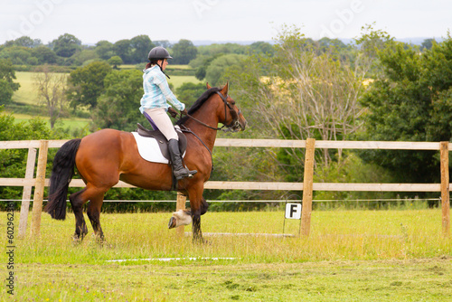 Pretty young female rider schools her bay horse in dressage in field in English countryside, teaching it to move correctly between the dressage letters .