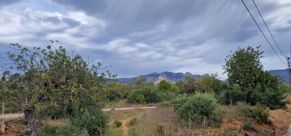 trip by historical train to Sóller Mallorca spain trip by historical train to Sóller Mallorca spain
