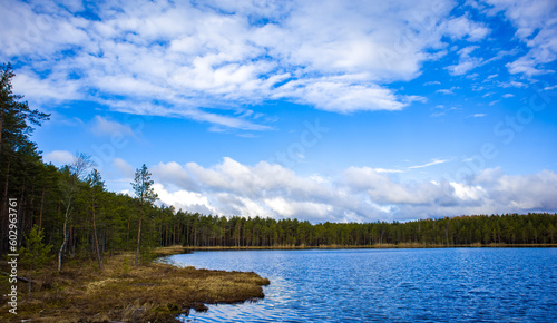 Lake and forest, picturesque landscape © EVGENII