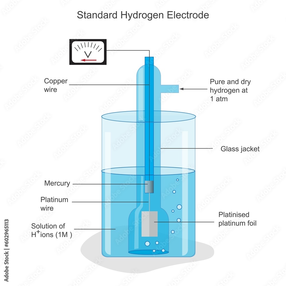 a-standard-hydrogen-electrode-she-is-an-electrode-that-scientists-use