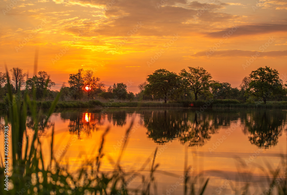 Wiosenny wschód słońca nad stawem