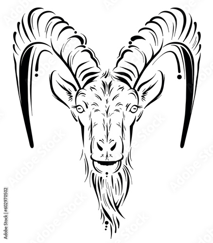 Abstract uncolored zodiac capricorn head vector illustration out line art. monochrome ibex goat hand drawing symbol isolated on white background for tattoo or logo