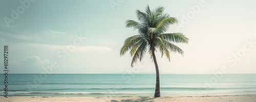 lonely palm tree on the beach near the ocean with copy space © Ployker