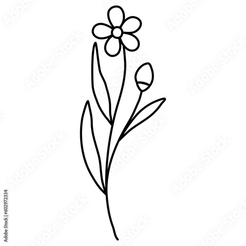 black and white flower