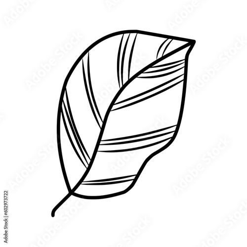 Leaf Lineart