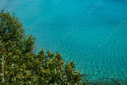 marine panorama with blue sea and Mediterranean maquis photo