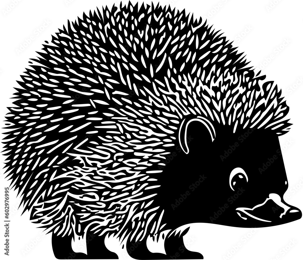 Obraz premium Black and white hedgehog on an isolated white background | vector illustration of a hedgehog