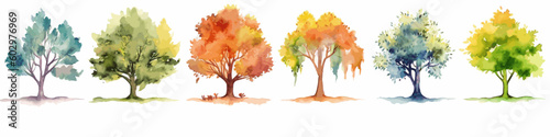 Watercolor Tree Collection Vector Illustrations of Colorful Foliage and Organic Branches
