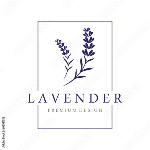 Hand drawn organic lavender flower logo template design.Logo for cosmetic, beauty,tea,oil,herb.
