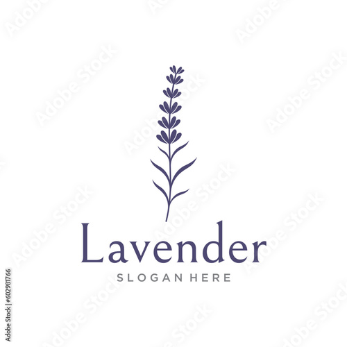 Hand drawn organic lavender flower logo template design.Logo for cosmetic, beauty,tea,oil,herb.