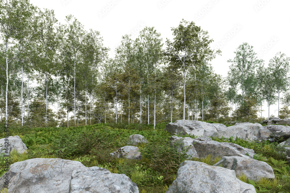 Realistic forest floor and trees. 3d rendering of isolated objects. Realistic forest floor and trees. 3d rendering of isolated objects.