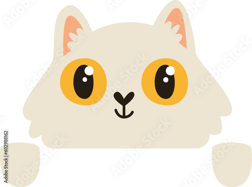 Peeking Cat Pet