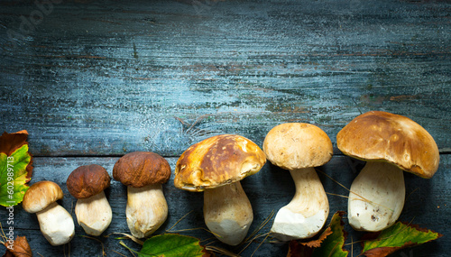 Foto fresh porcini mushrooms in the summer or autumn season; cep mushrooms on a woode