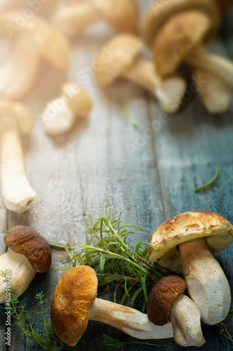 fresh porcini mushrooms in the summer or autumn season; cep mushrooms and spices herbs on a wooden table; Italian recipe