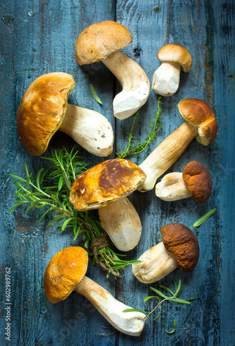 Art fresh porcini mushrooms in the summer or autumn season; cep mushrooms and spices herbs on a wooden table; Italian recipe