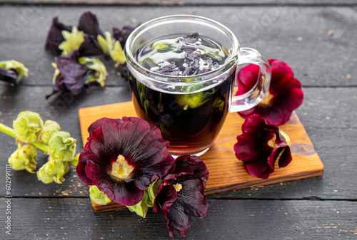 Herbal medicinal tea drink made of Malva sylvestris L. Known as common mallow, cheeses, high mallow and tall mallow. Glass cup with tea on black background fresh and dried petals scattered.
