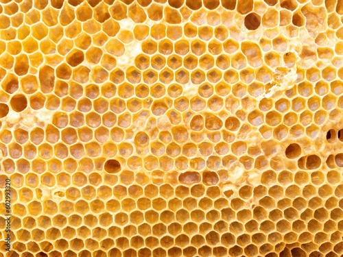 Honeycomb with honey as very nice natural background