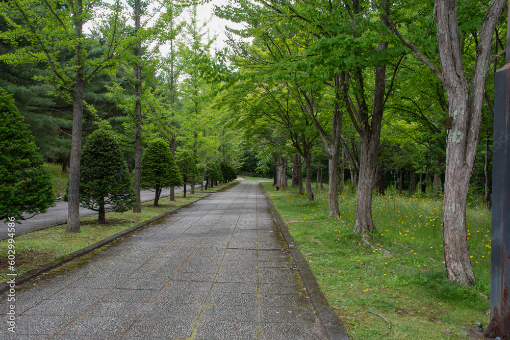 初夏の公園
