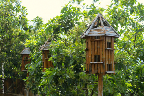 wooden bird house © Loyale