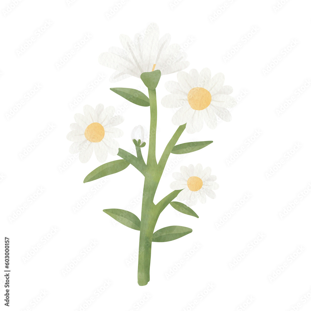 Flower watercolor Flower watercolor