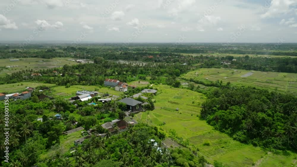 Drone view of Bali. Rice Terrace, Ubud, Bali, Indonesia. Top view Drone view of Bali. Rice Terrace, Ubud, Bali, Indonesia. Top view