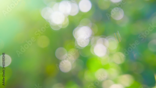 blurry nature background. tropical nature particle bokeh background template concept