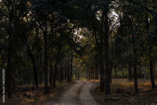Named after the pristine River Pence which flows through the park, Pench National Park is one of the most popular wildlife reserves in India. Leopard and Spotted Deer kill © Hemanth