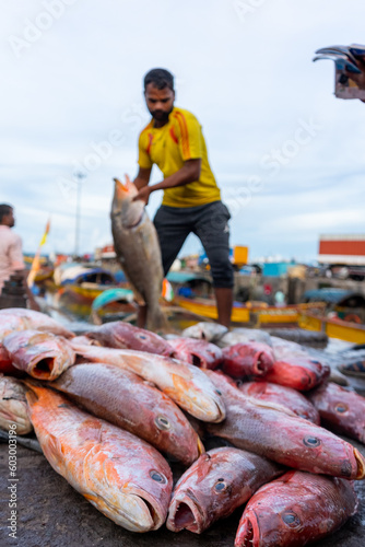 Junglighat, located in Port Blair, the main city of the Andaman Islands, is the largest fish landing center of the islands with proximity to storage centers