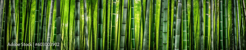 Arashiyama Bamboo Grove Kyoto Japan - Generative AI