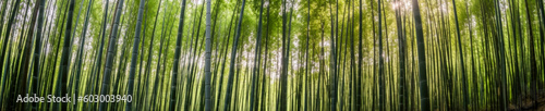 Arashiyama Bamboo Grove Kyoto Japan - Generative AI