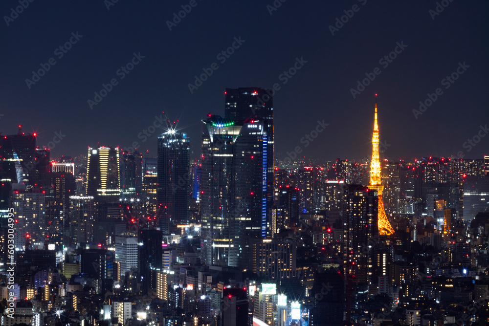 tokyo skyline at night horizontal view