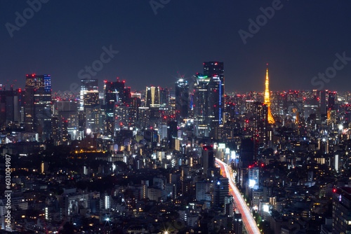 tokyo skyline at night horizontal view