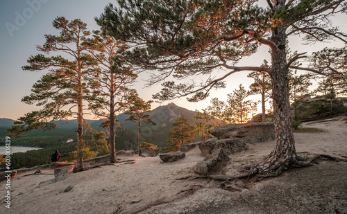 Beautiful trees in Burabay (Borovoye) national park in Kazakhstan during sunset. Akmola, Kazakhstan. photo