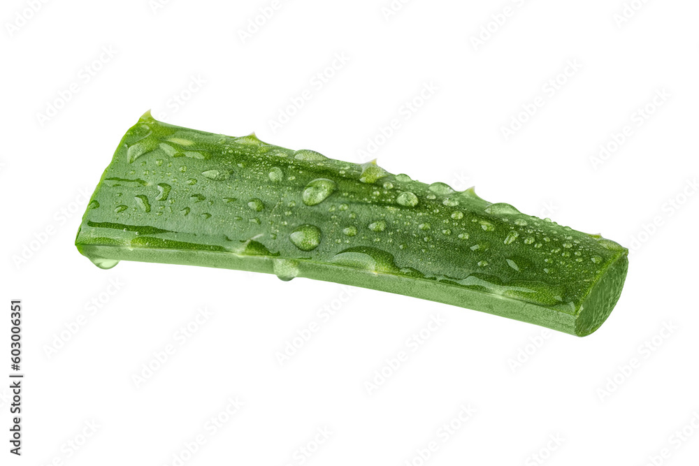 Fresh Aloe vera slice with aloe vera gel drops isolated on transparent background. Aloe vera leaf slice for design of herbal medicine or skin care treatment.