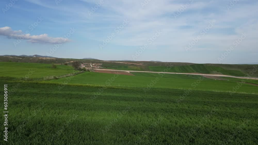 Wheat field shooting in wide field with drone. 4K 60Fps Video. Grassland harvest sky landscape Wheat field shooting in wide field with drone. 4K 60Fps Video. Grassland harvest sky landscape