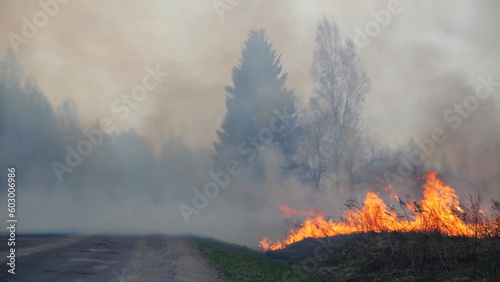 Smoke over the countryside road with fire on roadside.