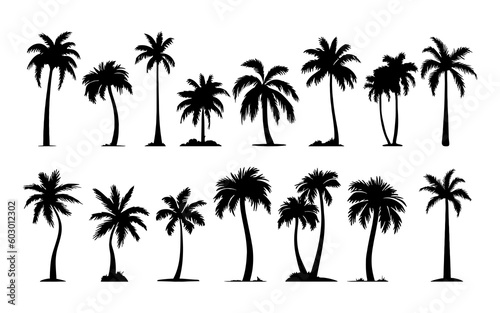 Palm Trees Set isolated on white background. Vector tropical palms silhouettes collection for design  web  illustrations.