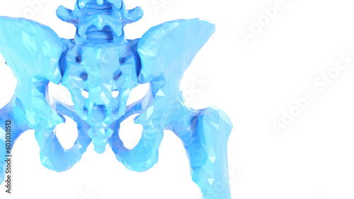 3d medical illustration of a man's pelvis. low poly style