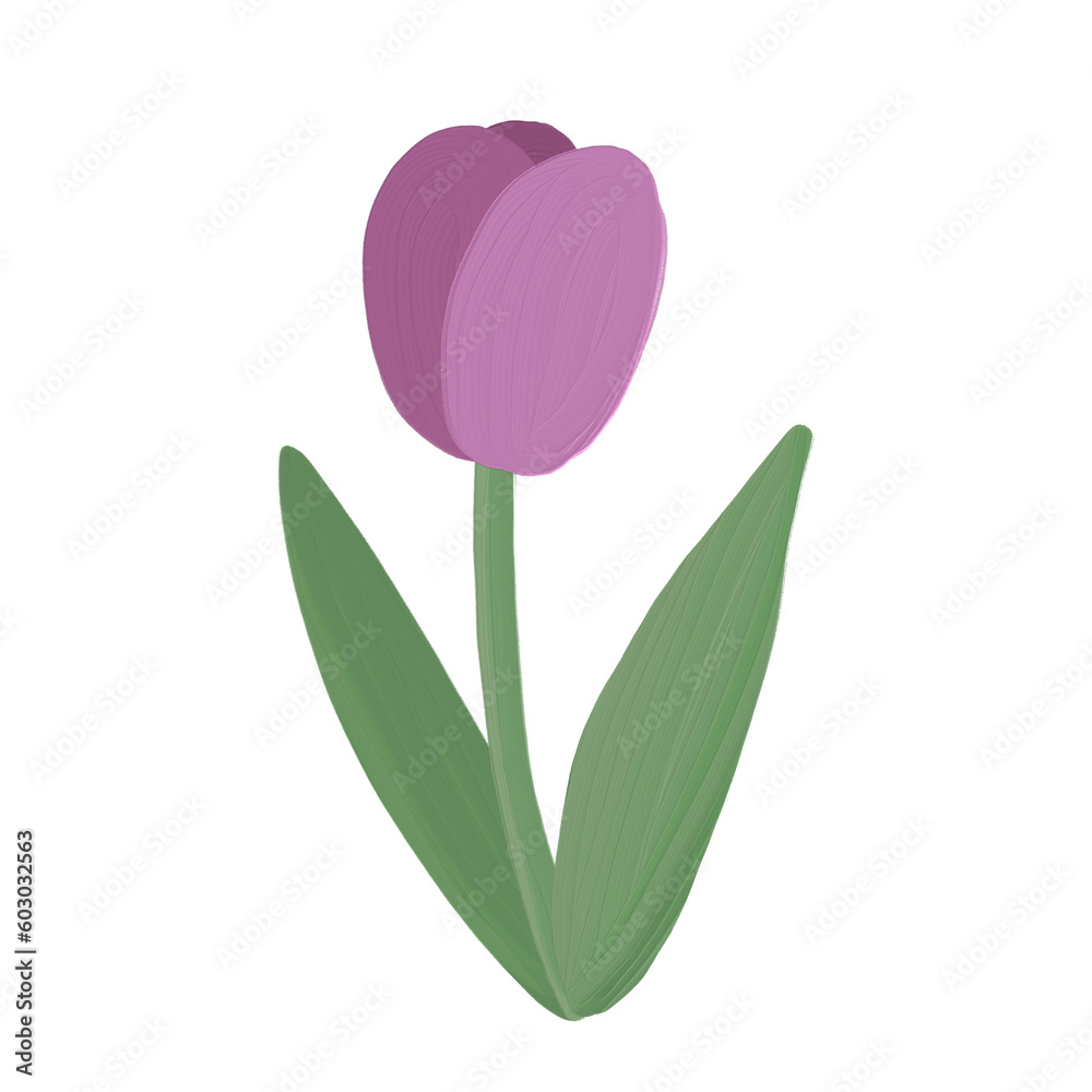 Purple tulip painted with oil color on white Purple tulip painted with oil color on white