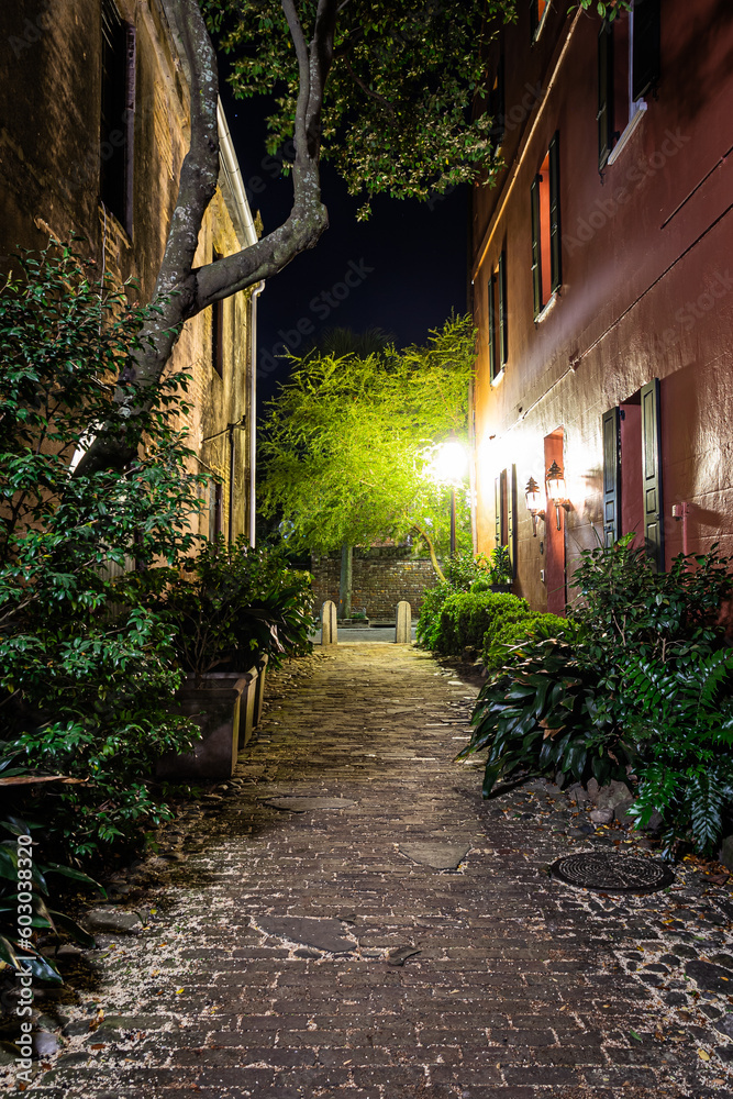 The haunted Philadelphia Alley in Charleston, South Carolina at night illuminated by the light of the buildings.