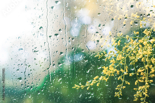 Condensation on a windowpane, spring background